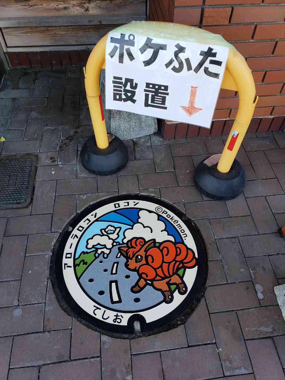 投稿された画像