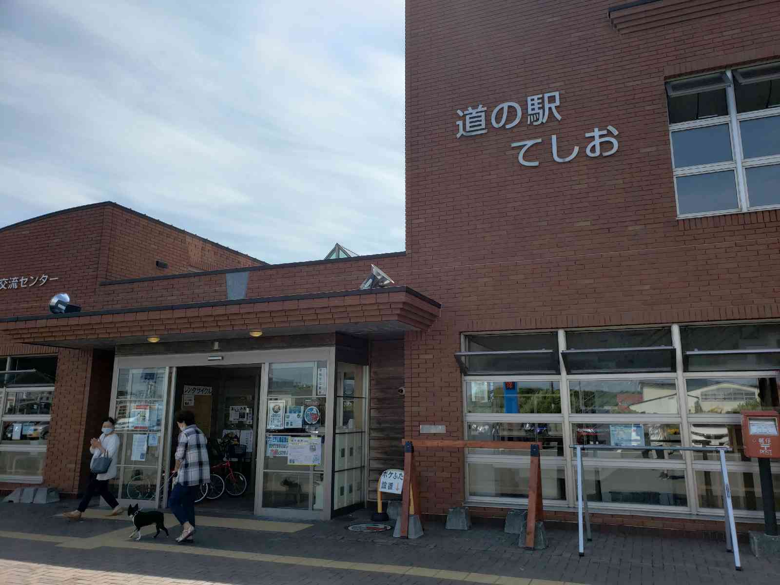 投稿された画像