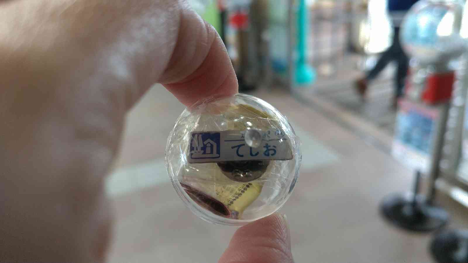 投稿された画像