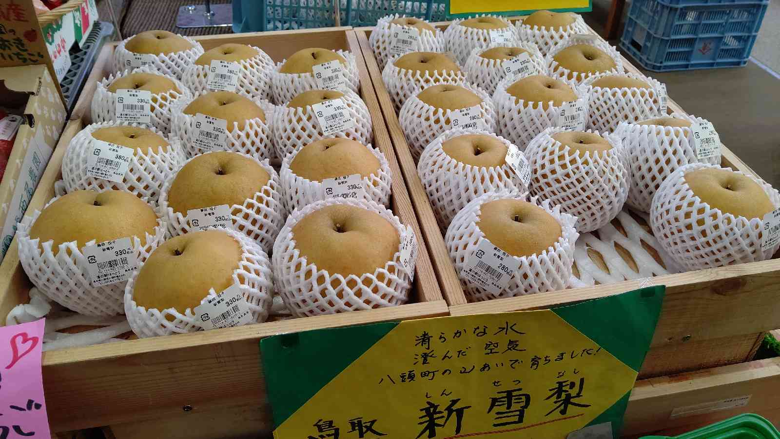 投稿された画像