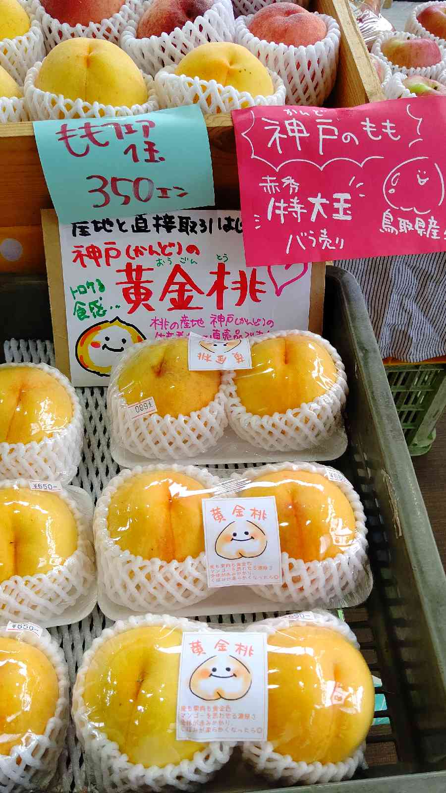 投稿された画像