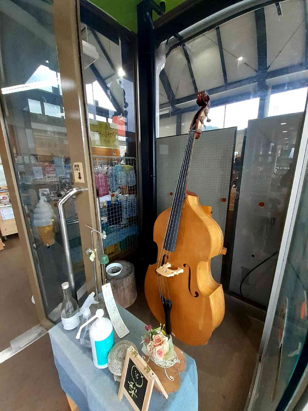 投稿された画像