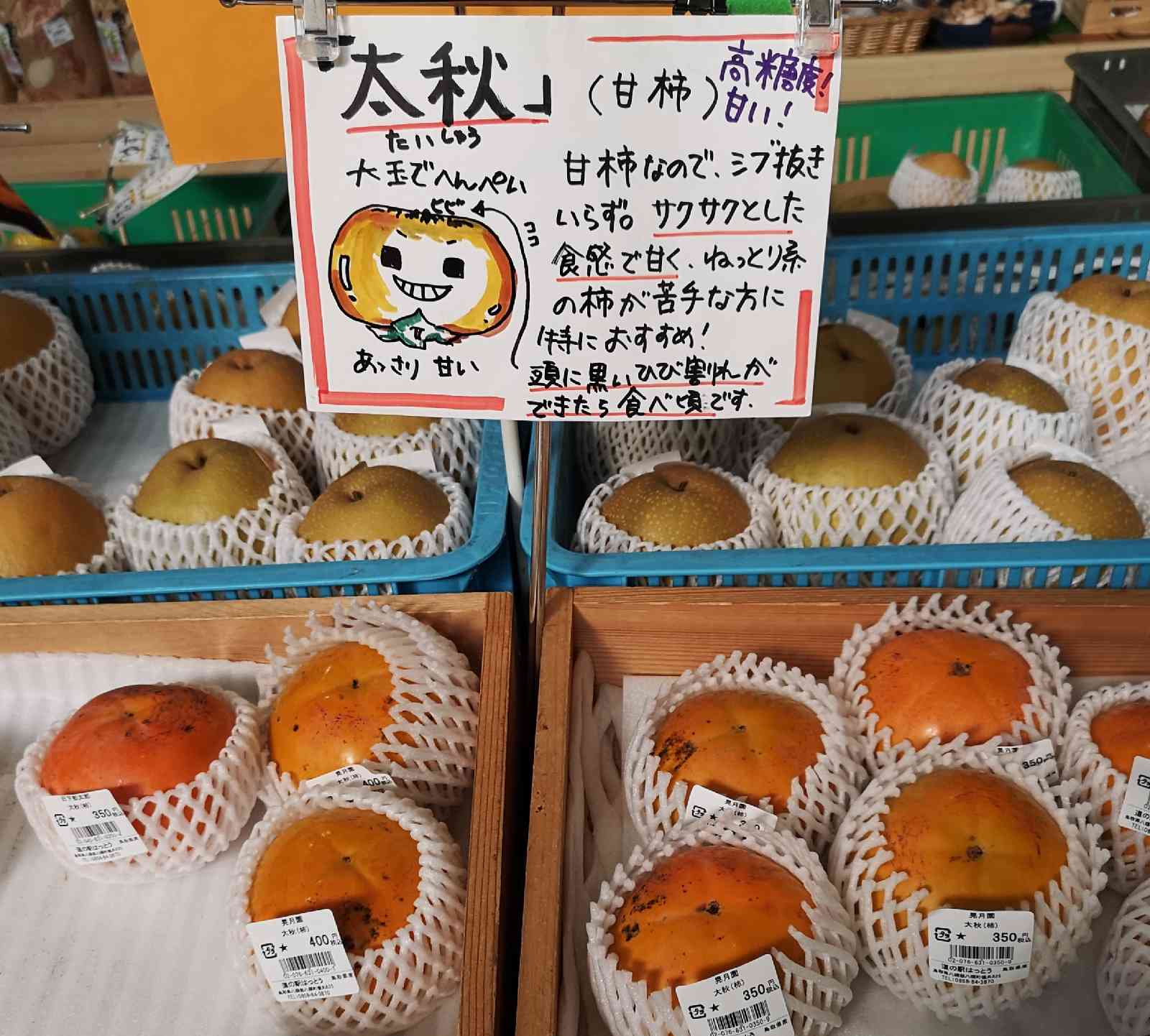 道の駅 はっとうの写真