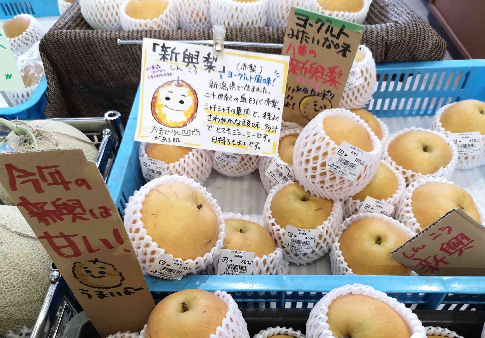 道の駅 はっとうの写真