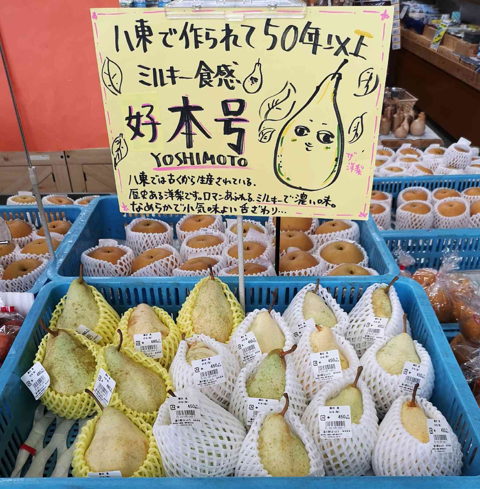 道の駅 はっとうの写真