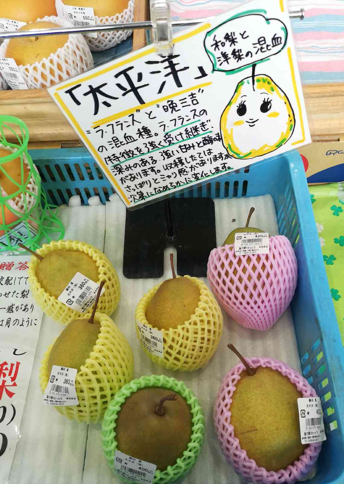 道の駅 はっとうの写真