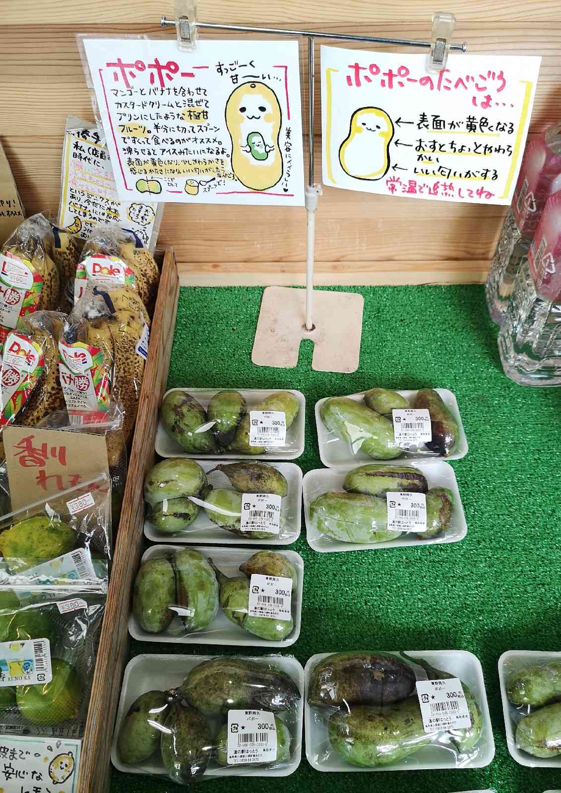 道の駅 はっとうの写真