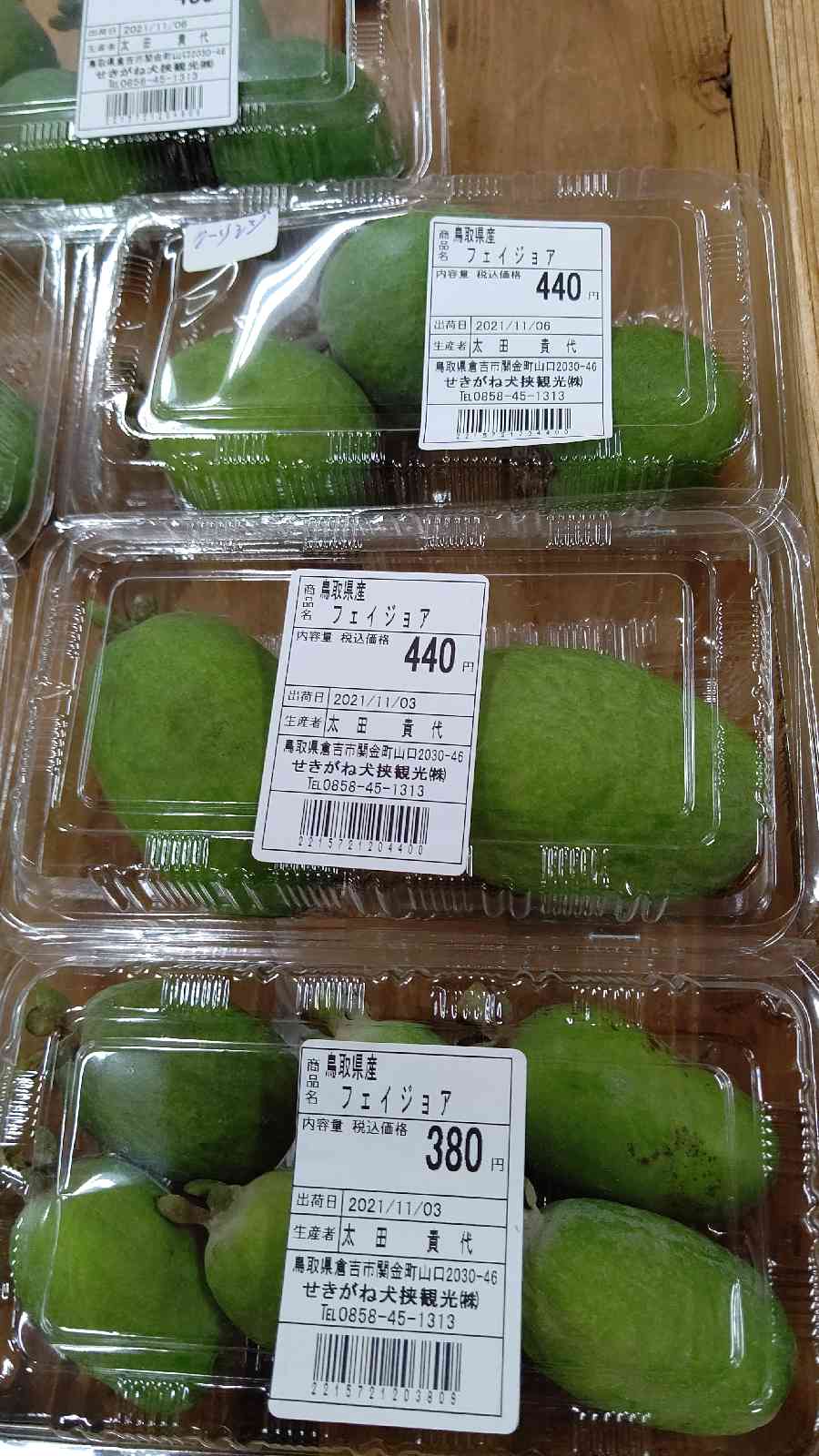 投稿された画像