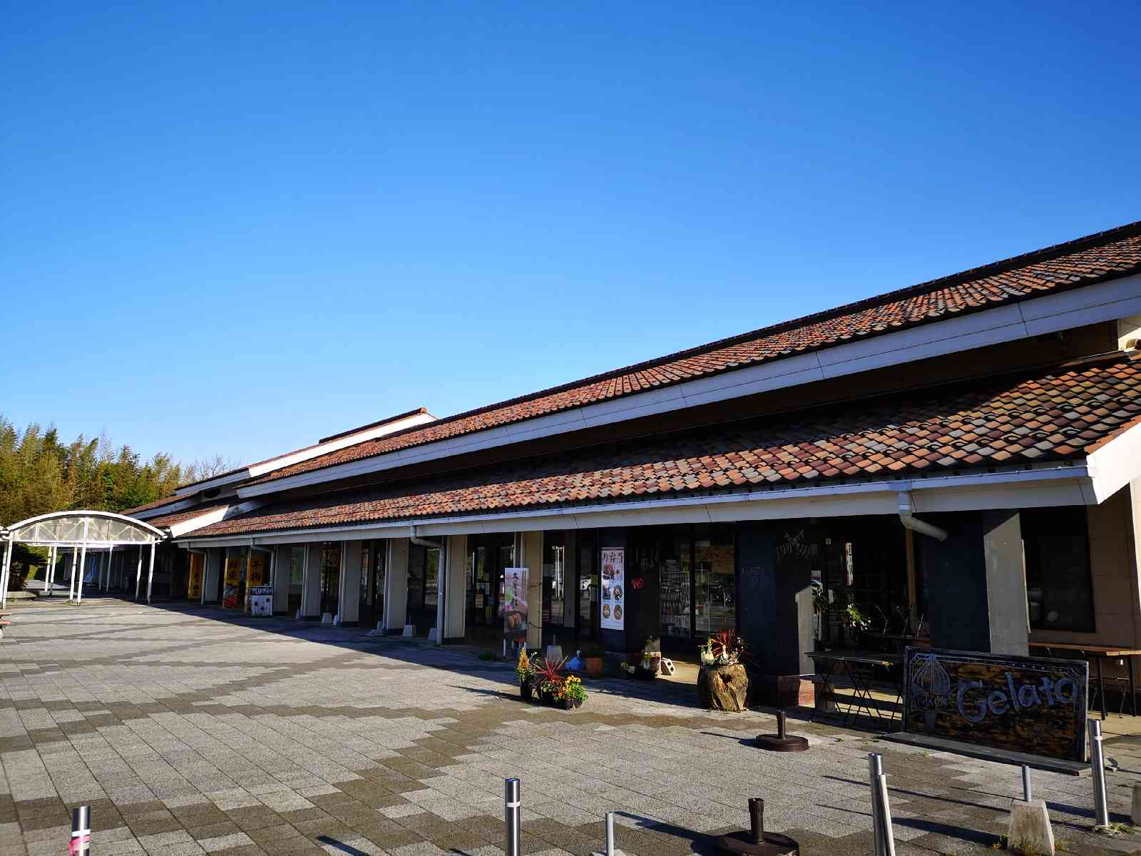 投稿された画像