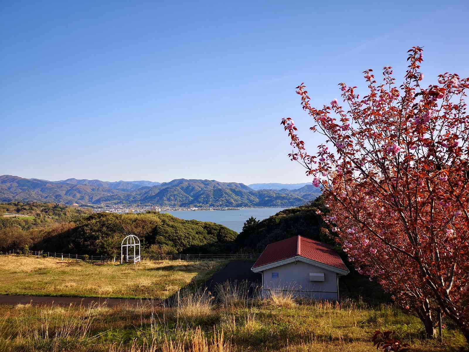 投稿された画像