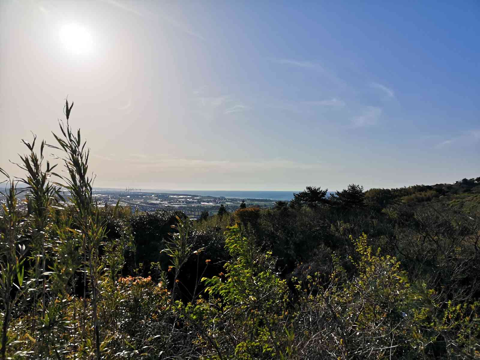 投稿された画像