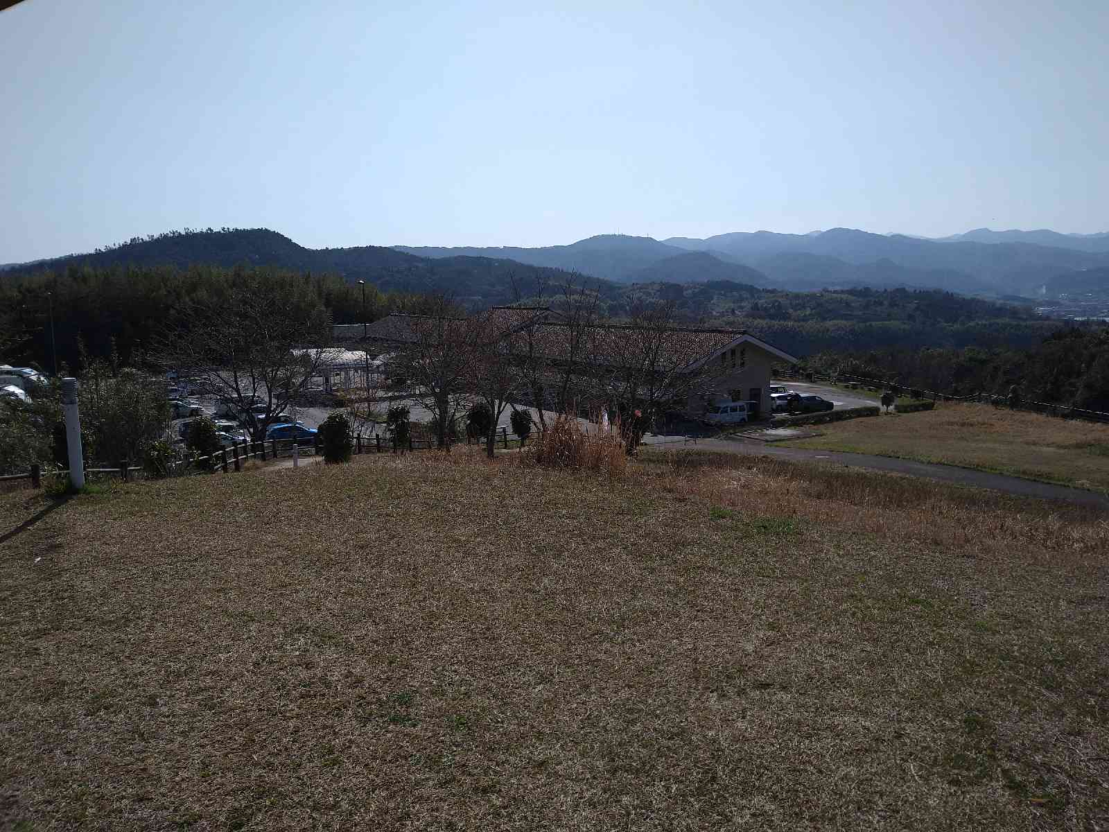 投稿された画像