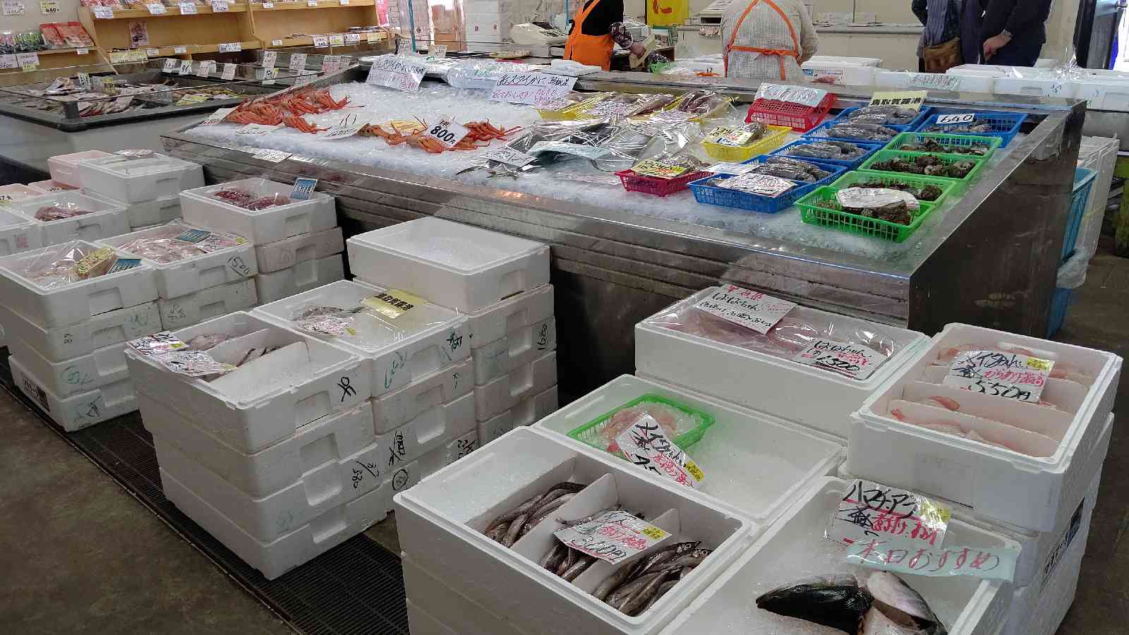 投稿された画像