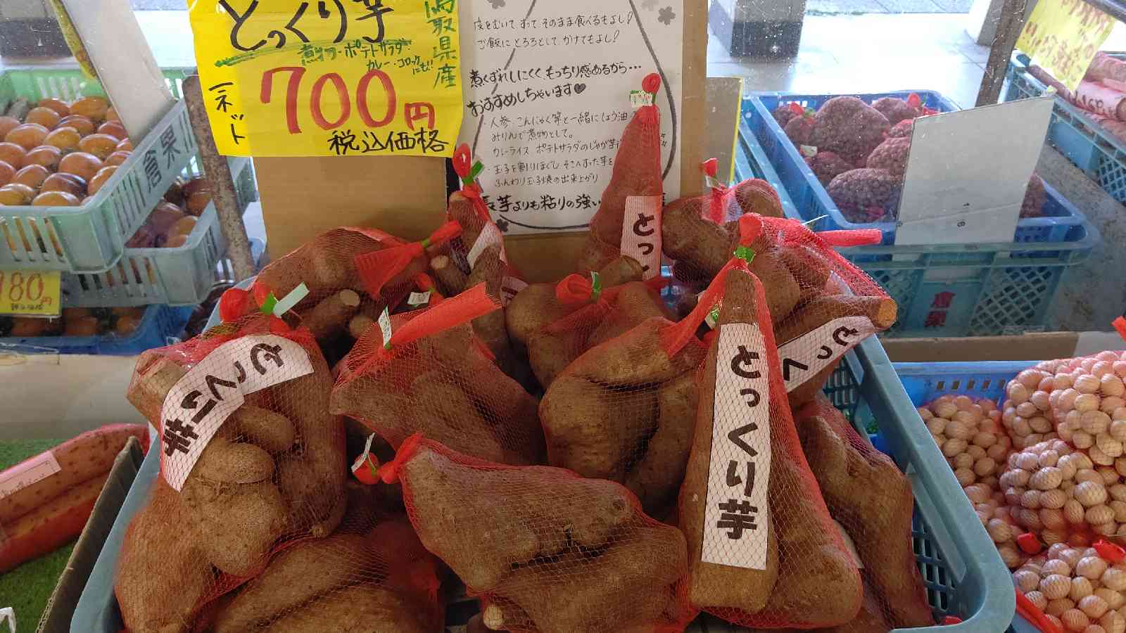 投稿された画像