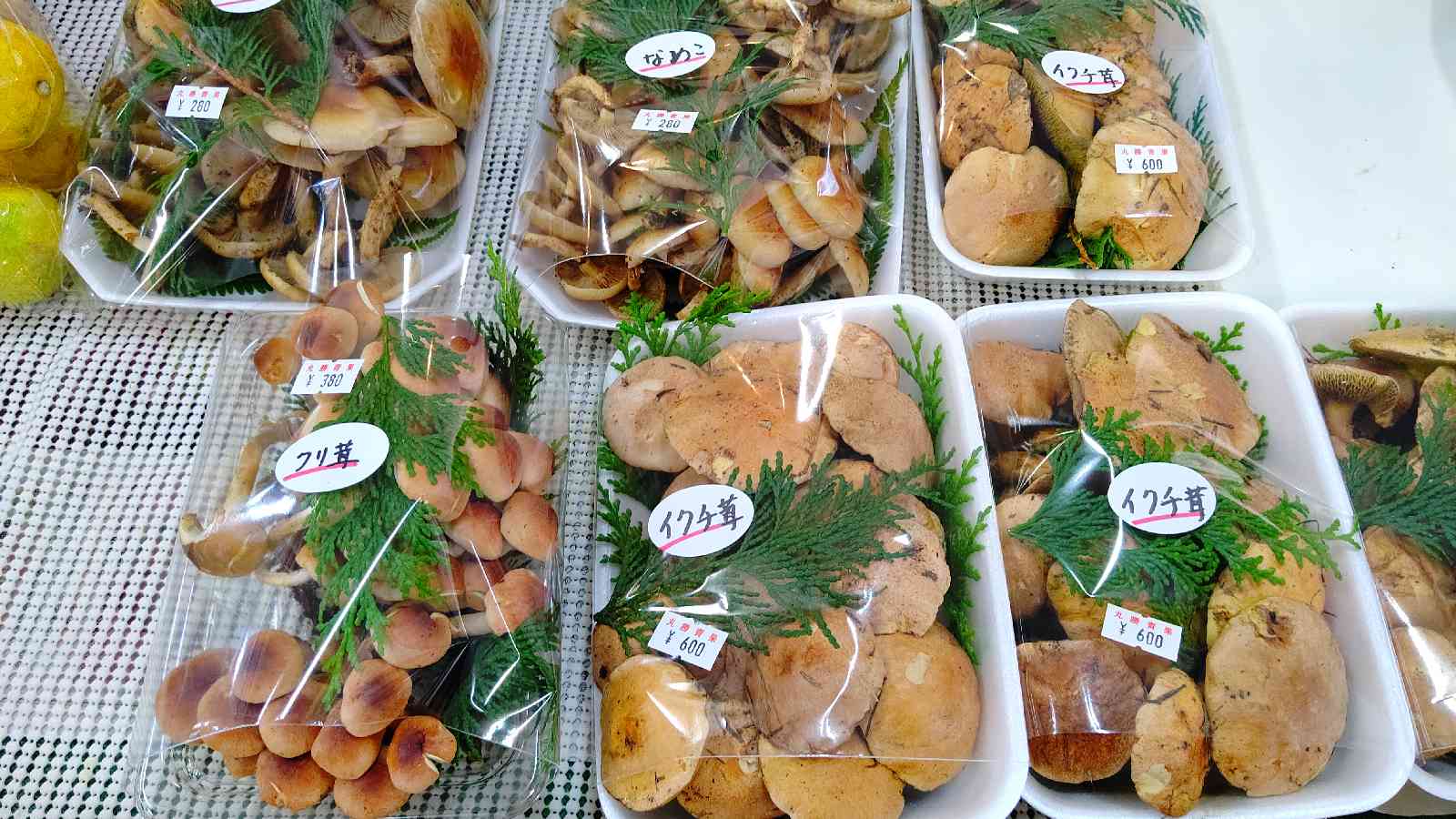 投稿された画像