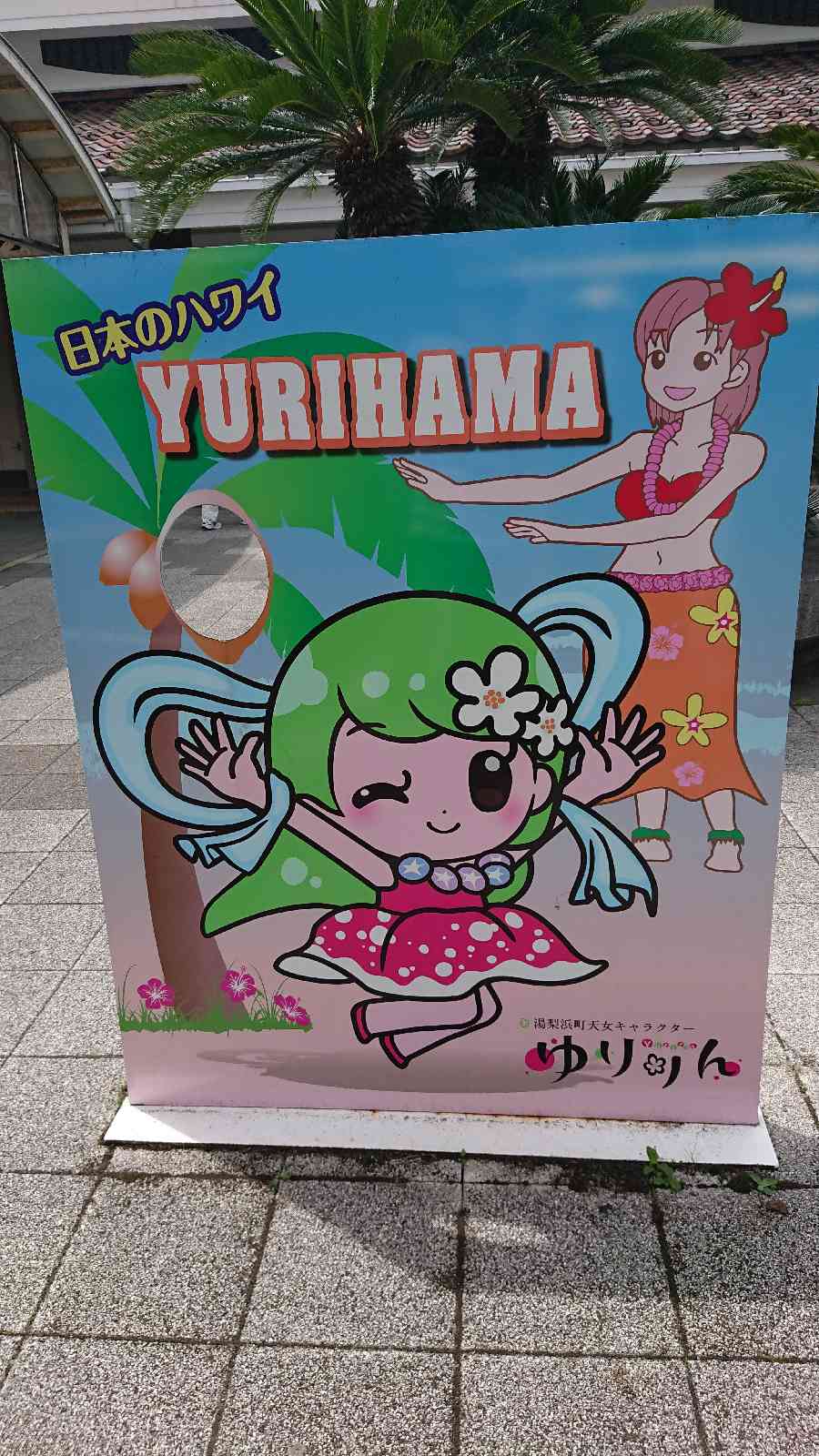 投稿された画像