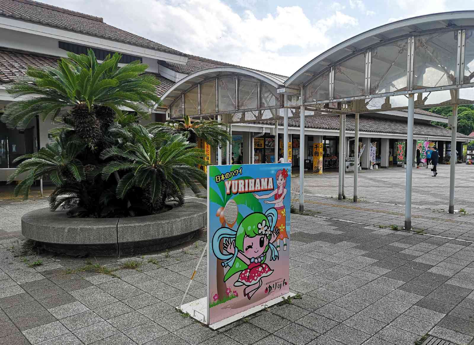 投稿された画像