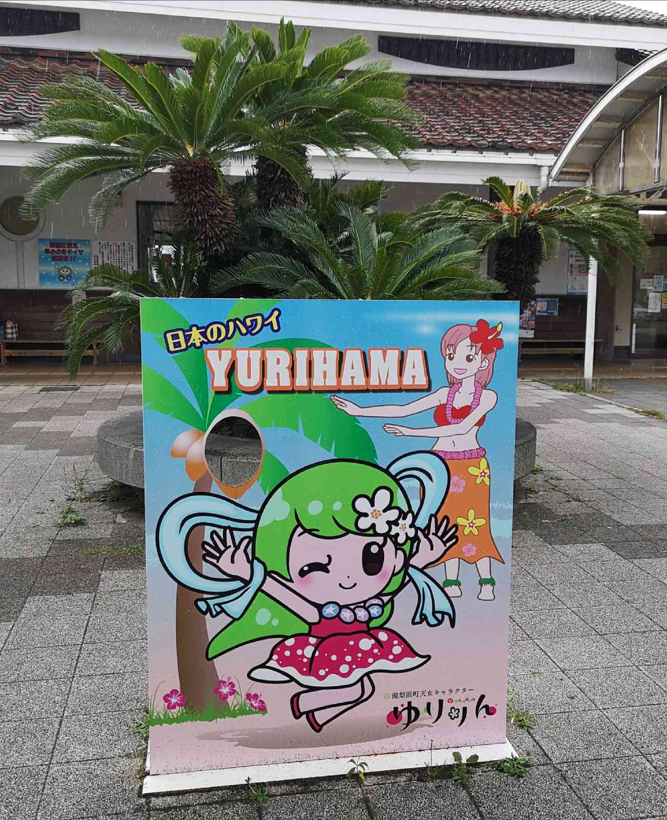 投稿された画像