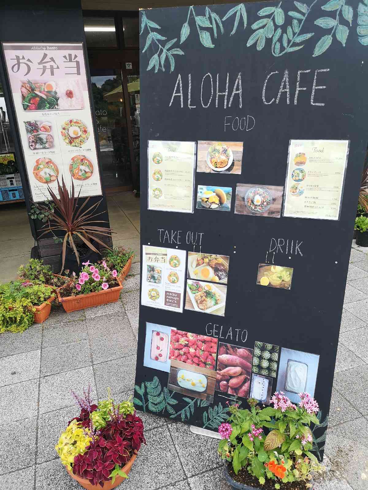 投稿された画像