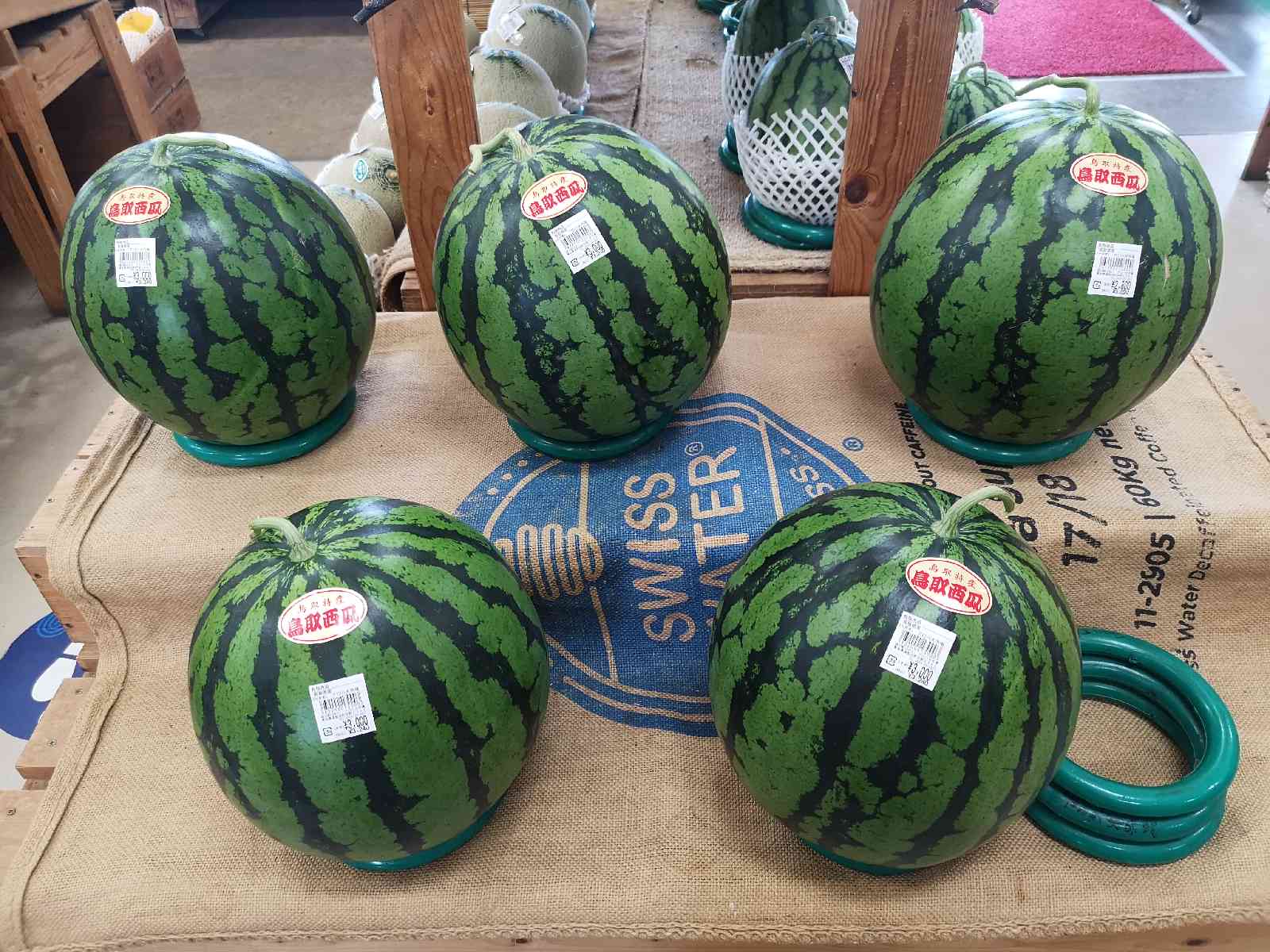 投稿された画像