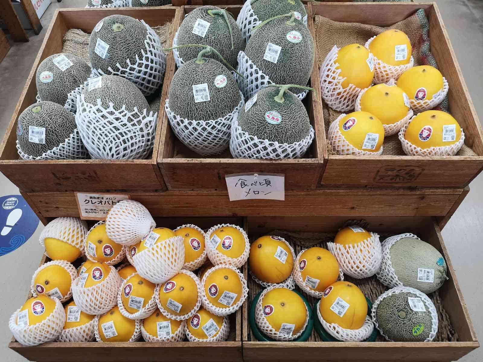 投稿された画像