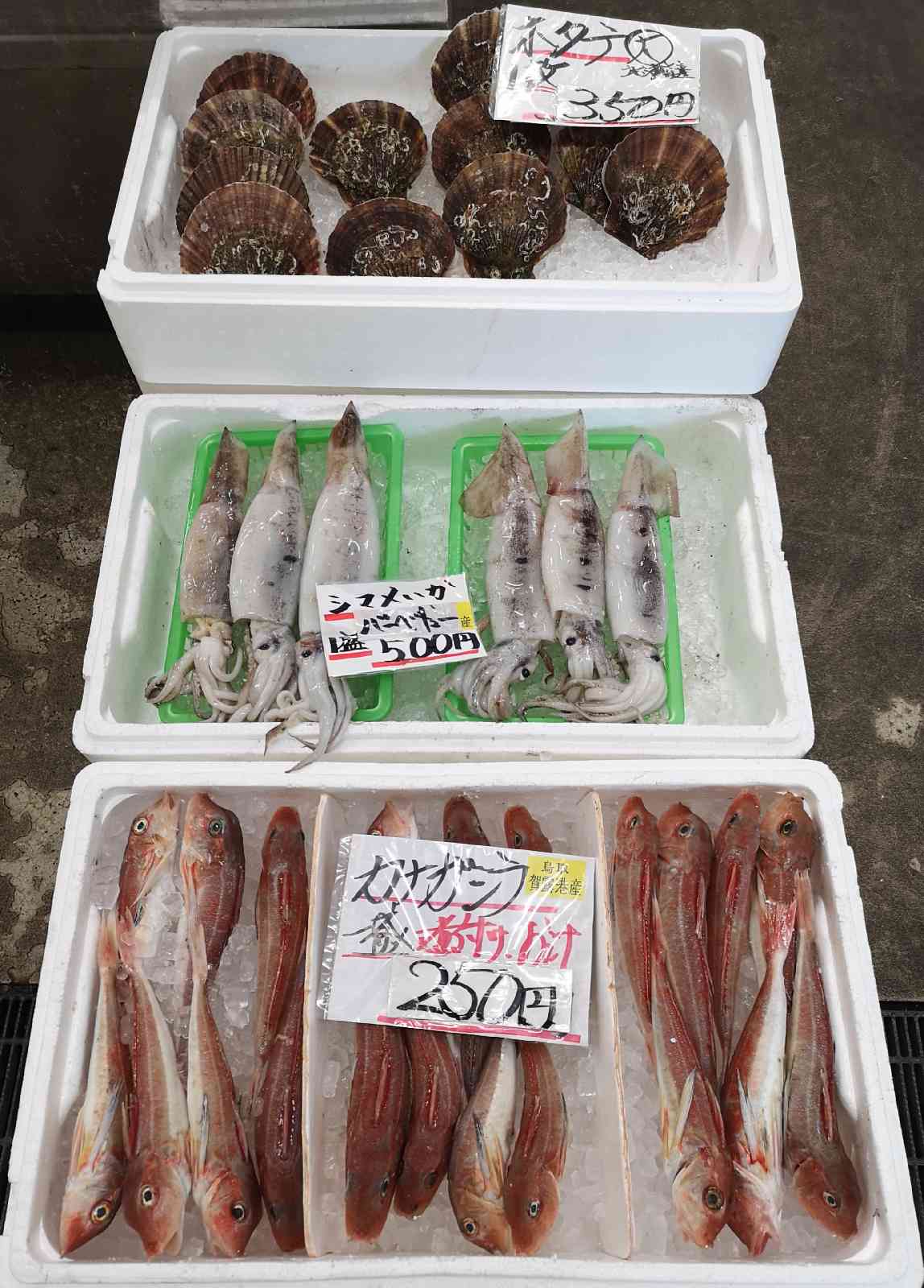 投稿された画像