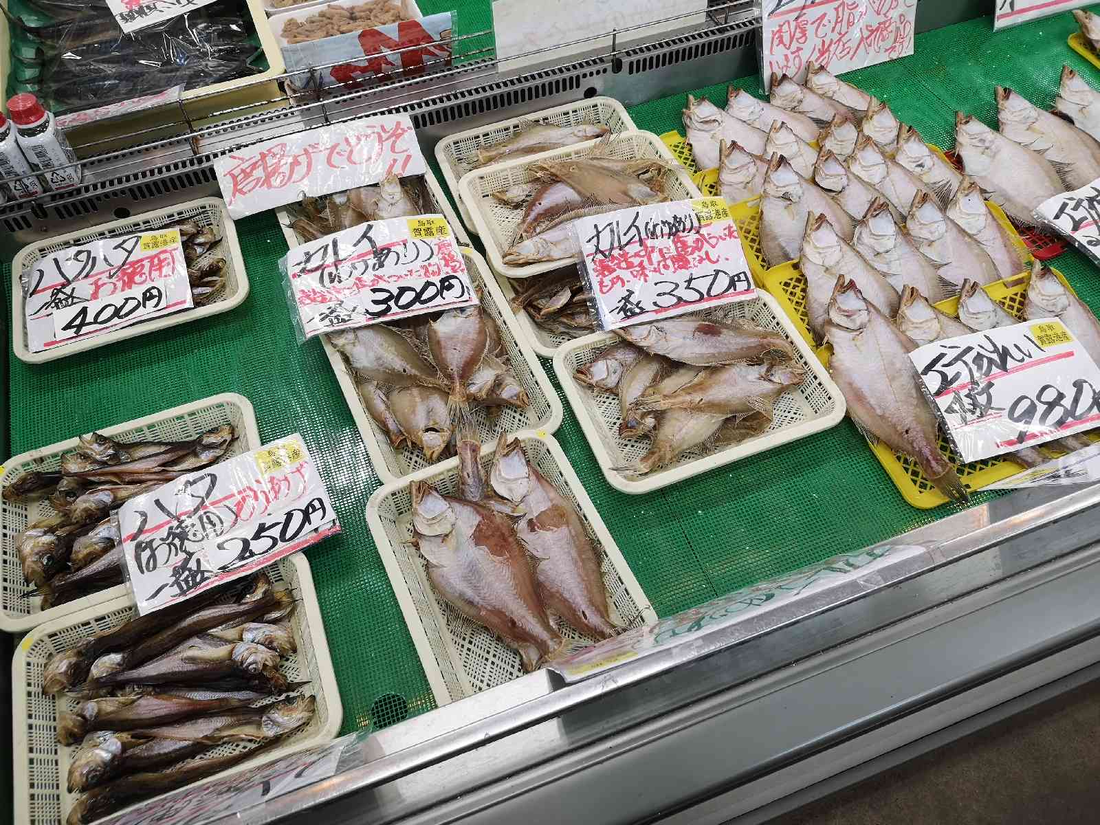 投稿された画像