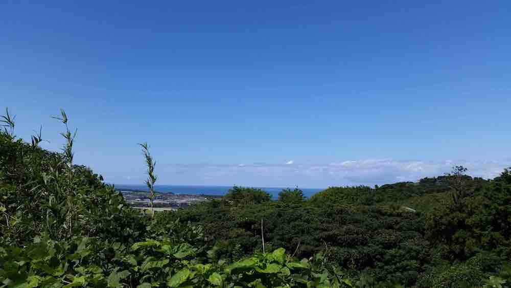 投稿された画像