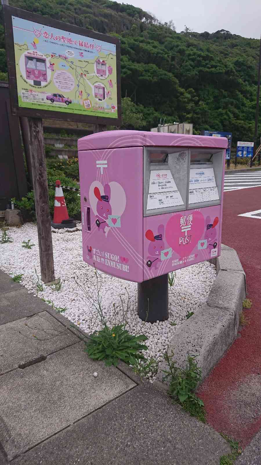 投稿された画像