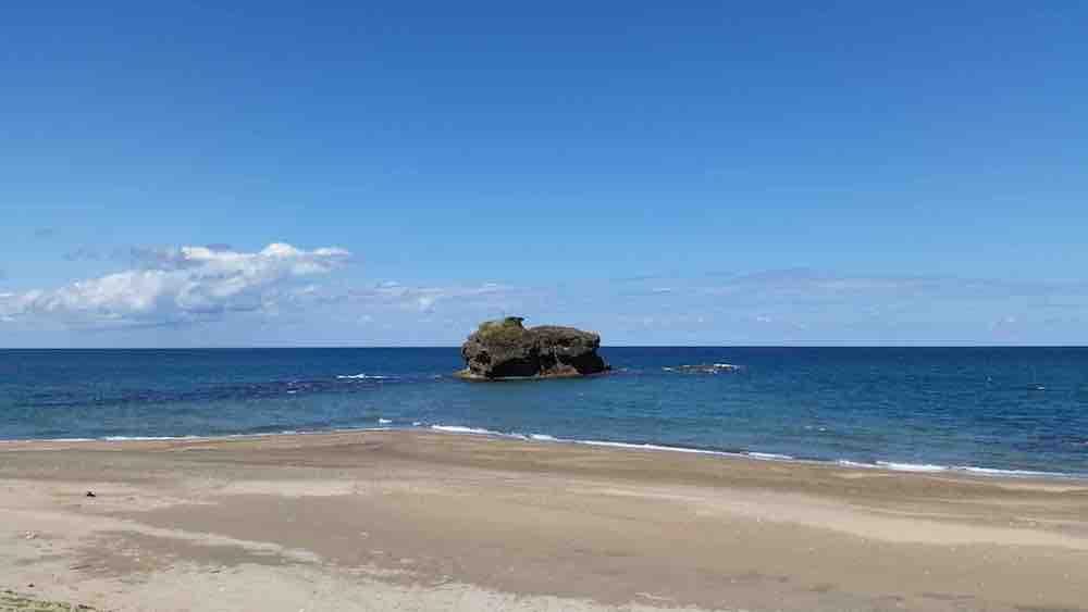 投稿された画像