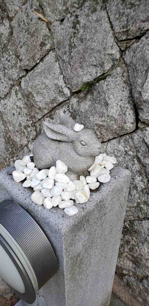 投稿された画像