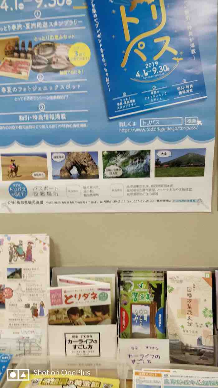 投稿された画像