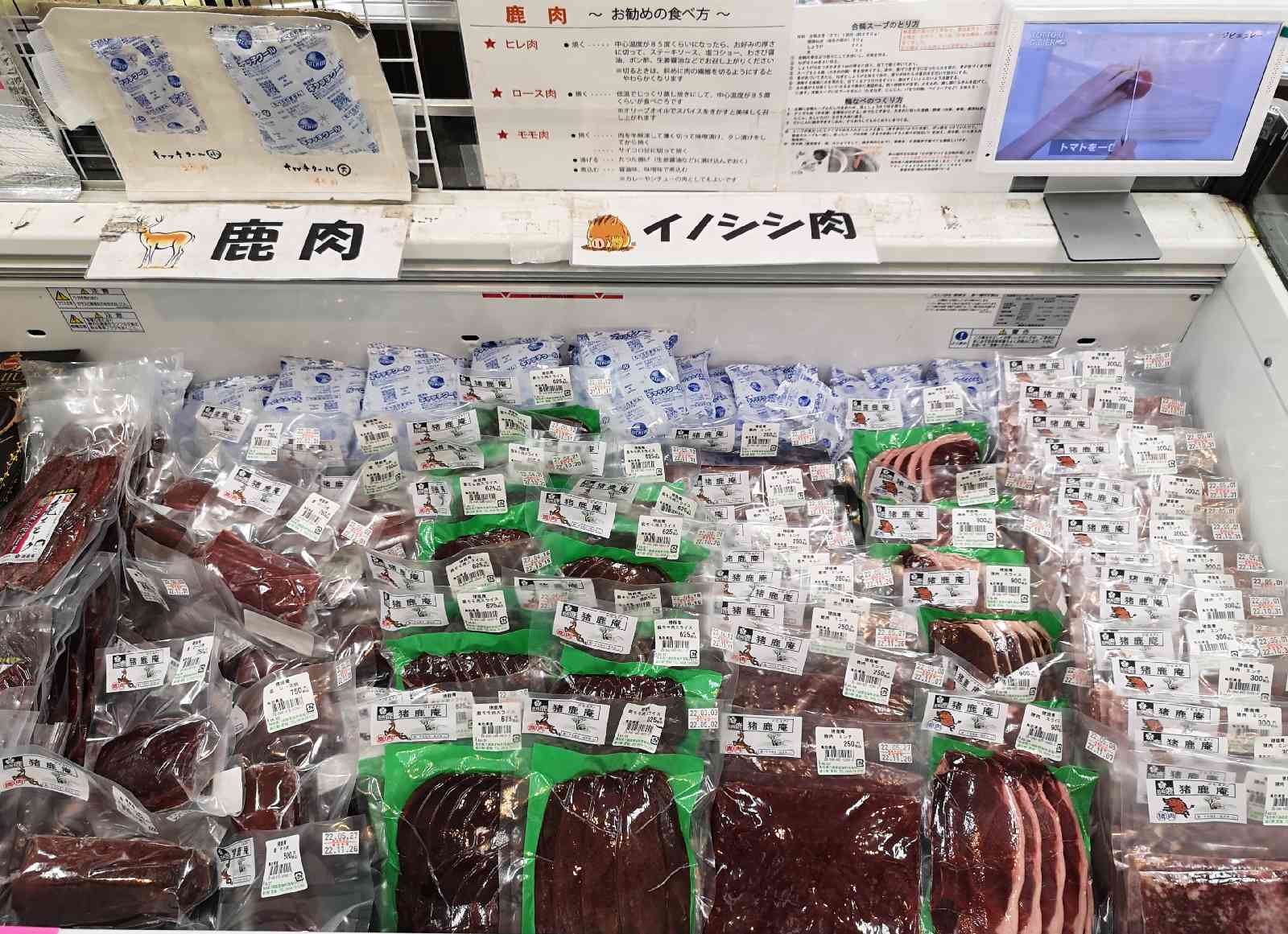 投稿された画像