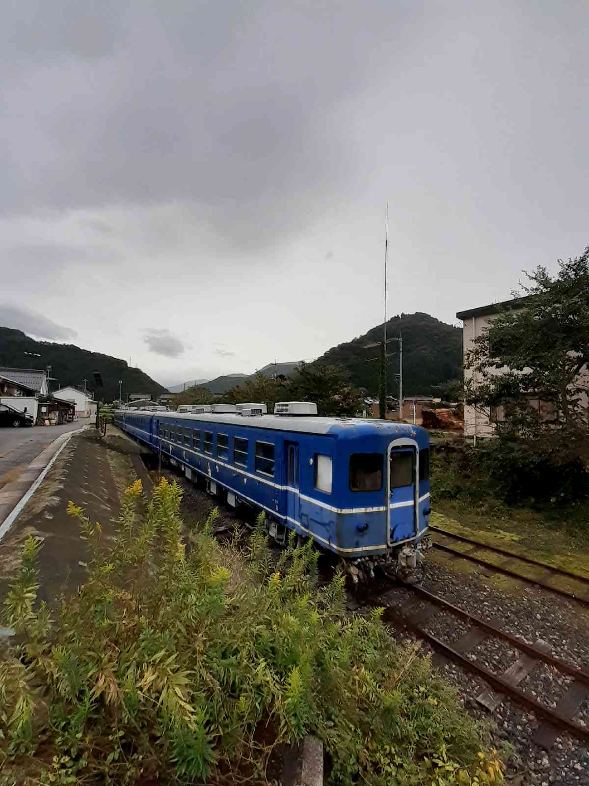 投稿された画像