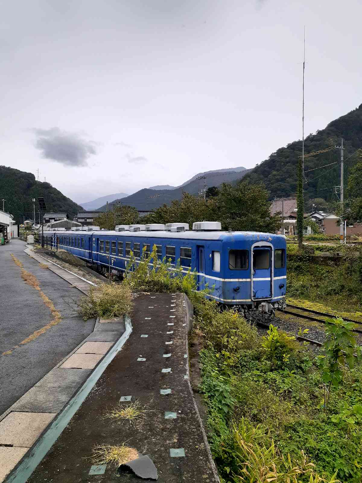 投稿された画像