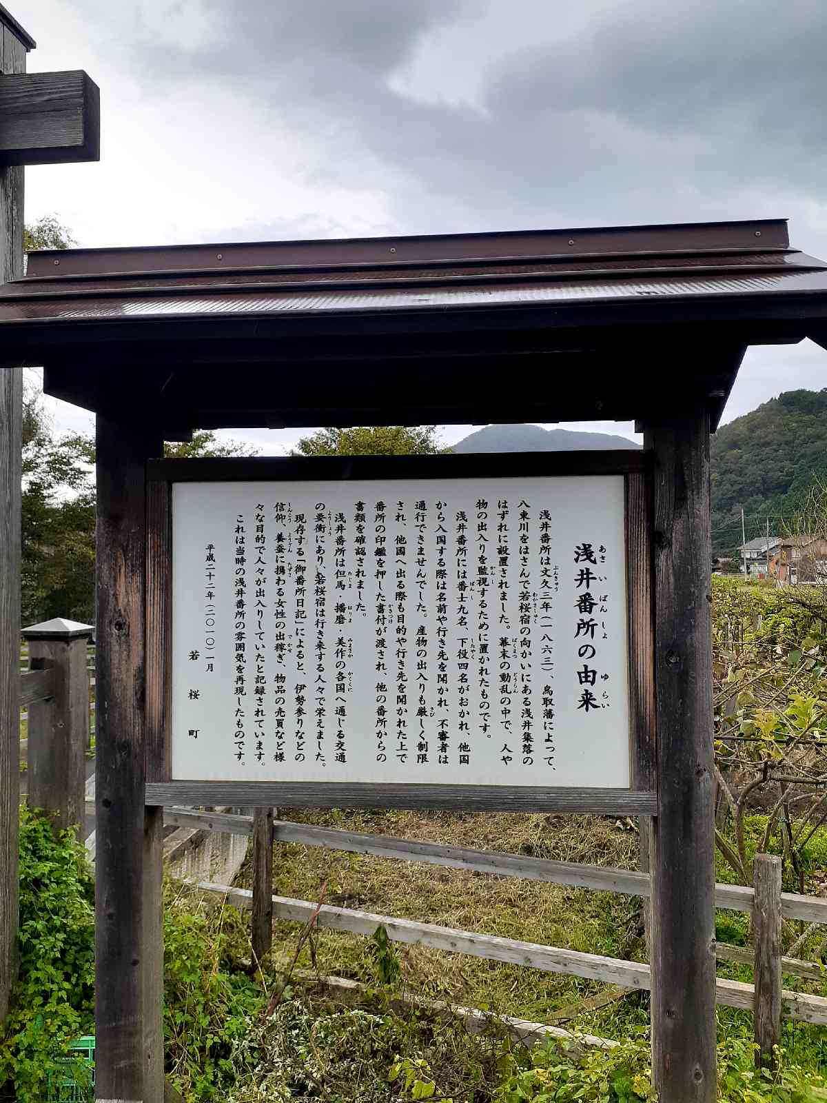 投稿された画像