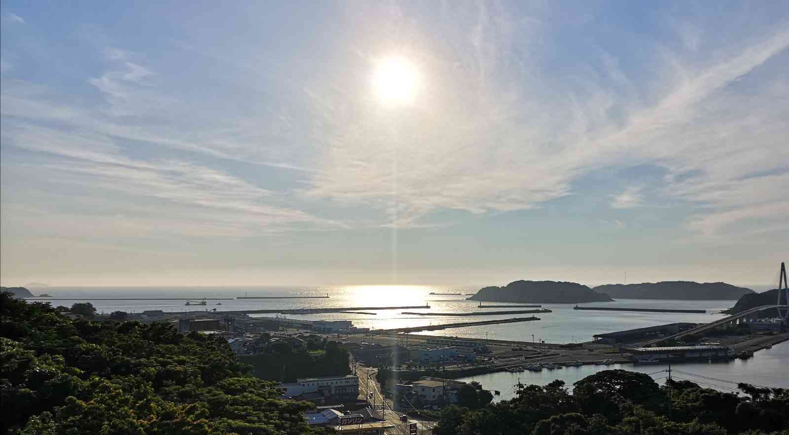 投稿された画像