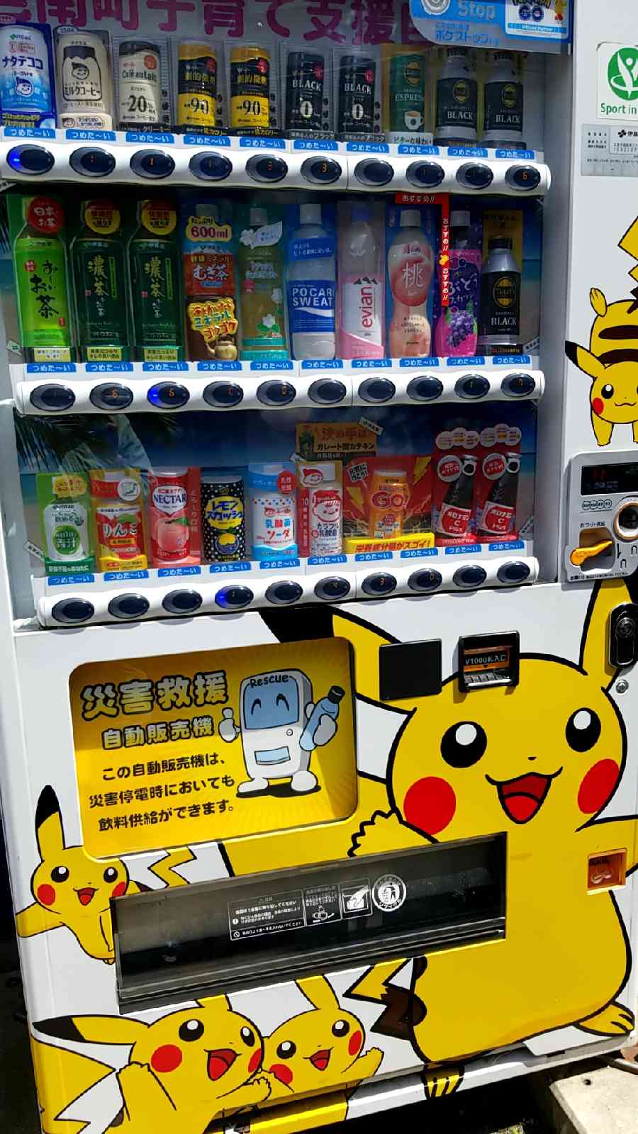 投稿された画像