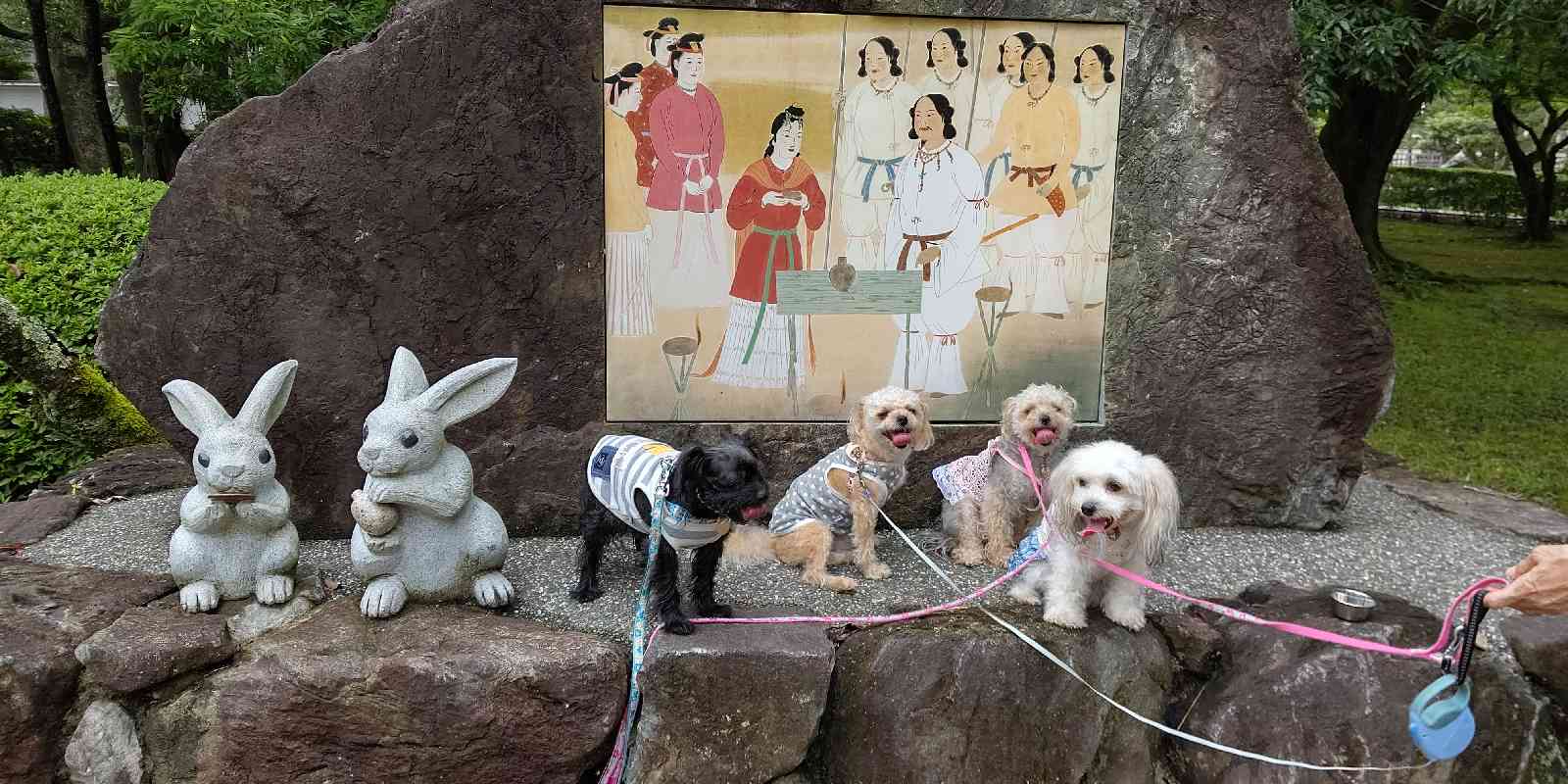 投稿された画像