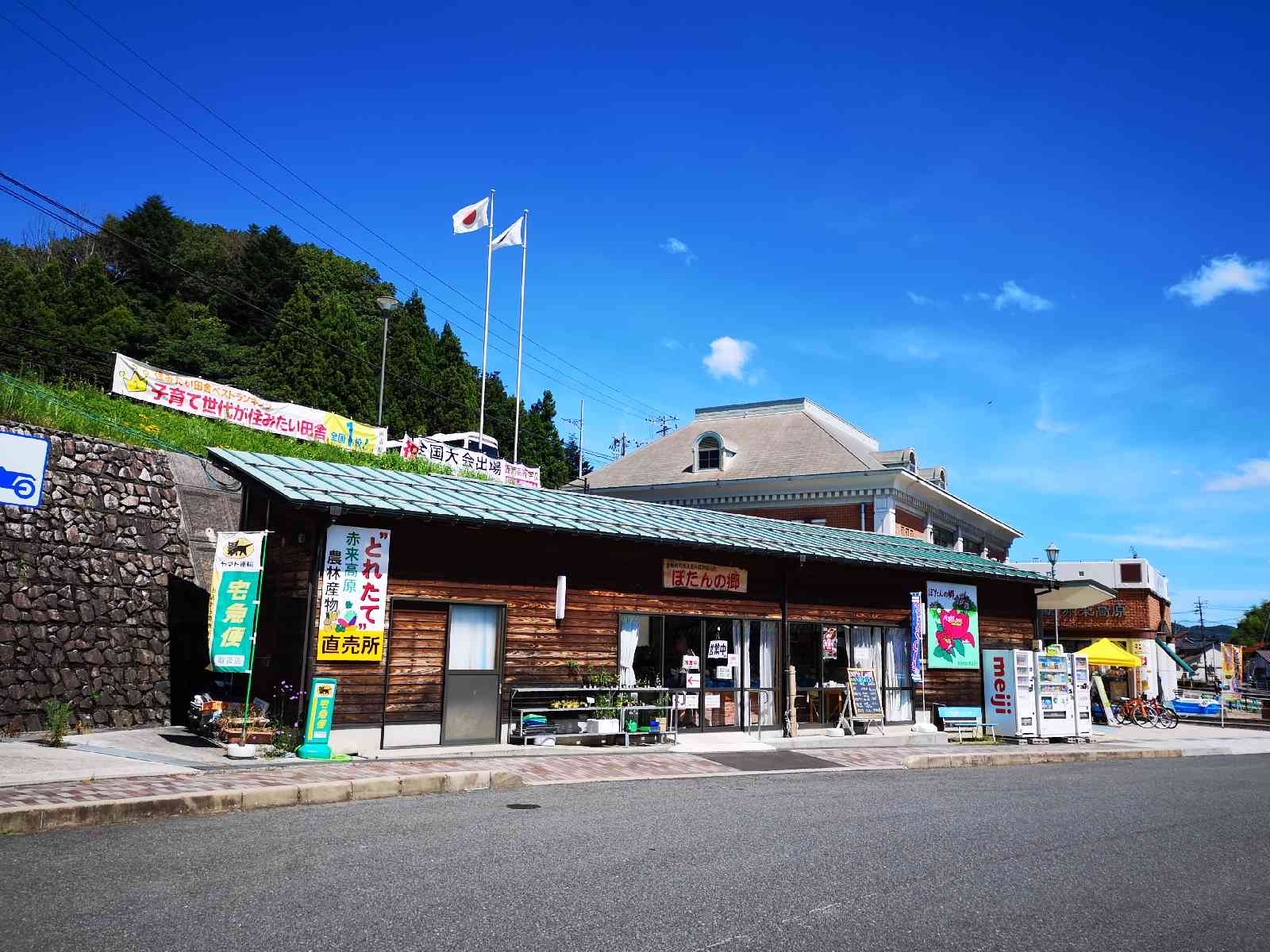 投稿された画像