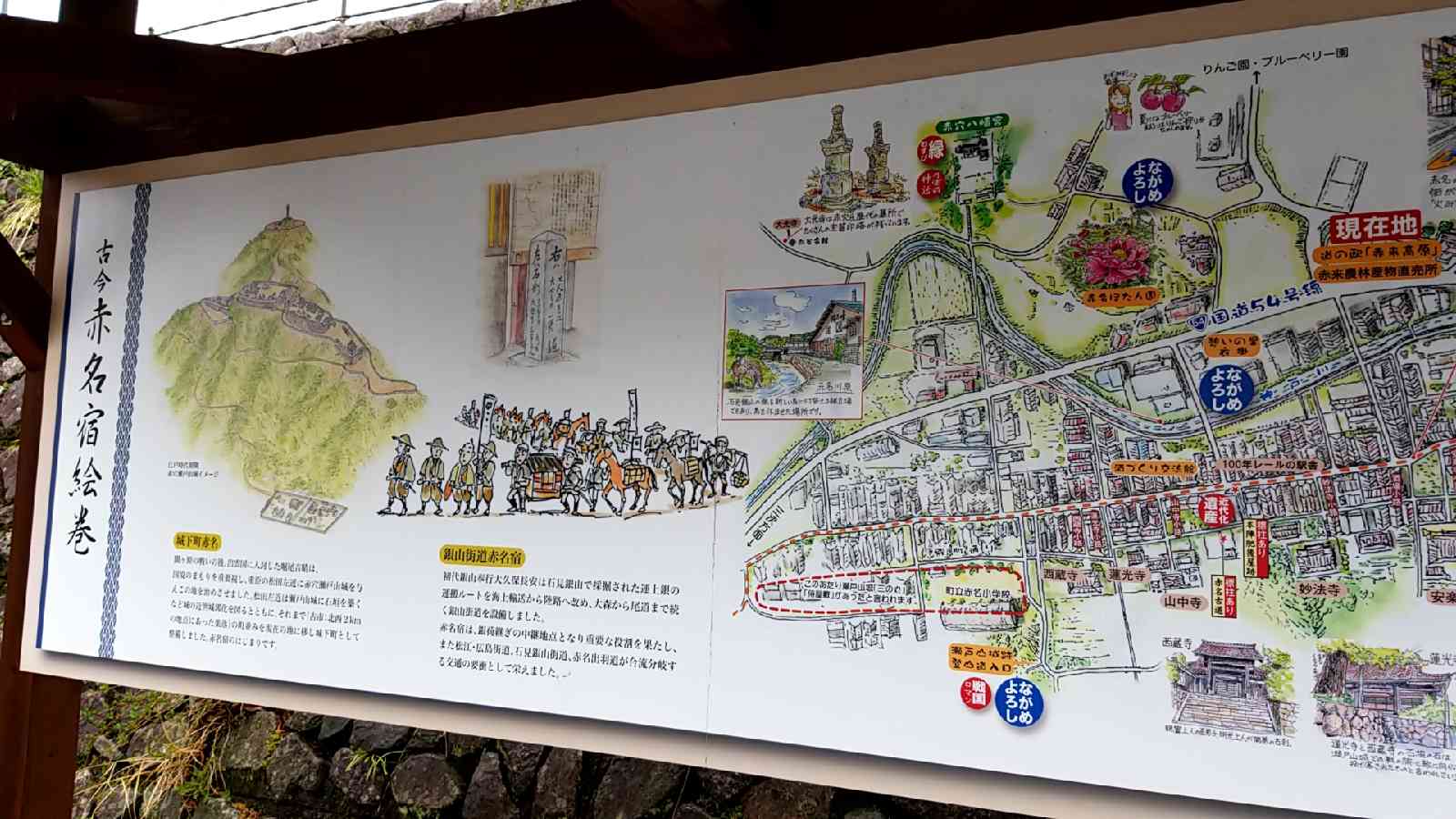 投稿された画像