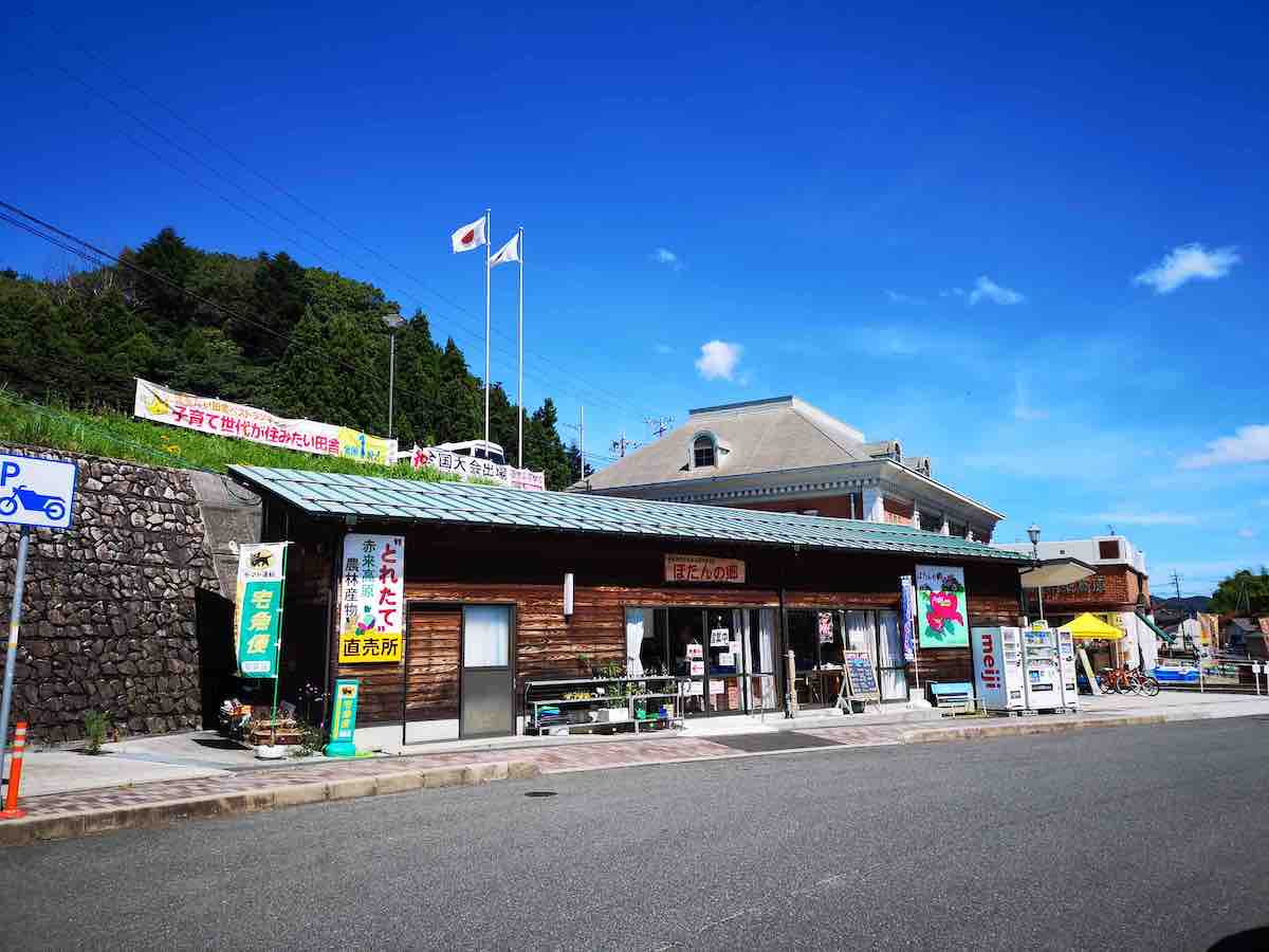 投稿された画像