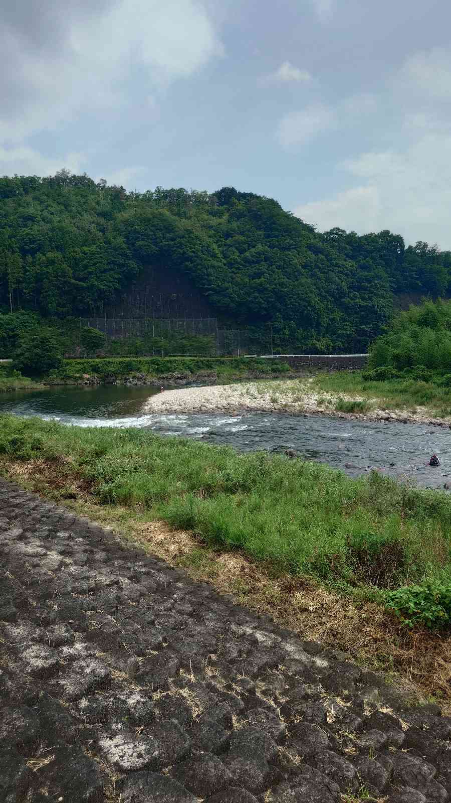 道の駅 かきのきむらの写真