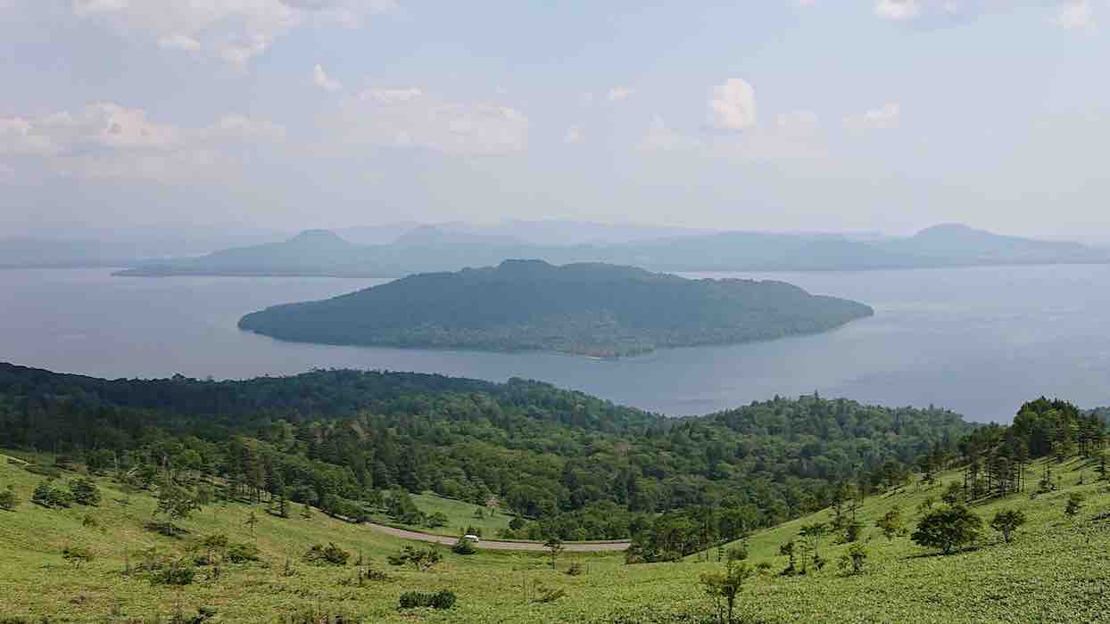 投稿された画像