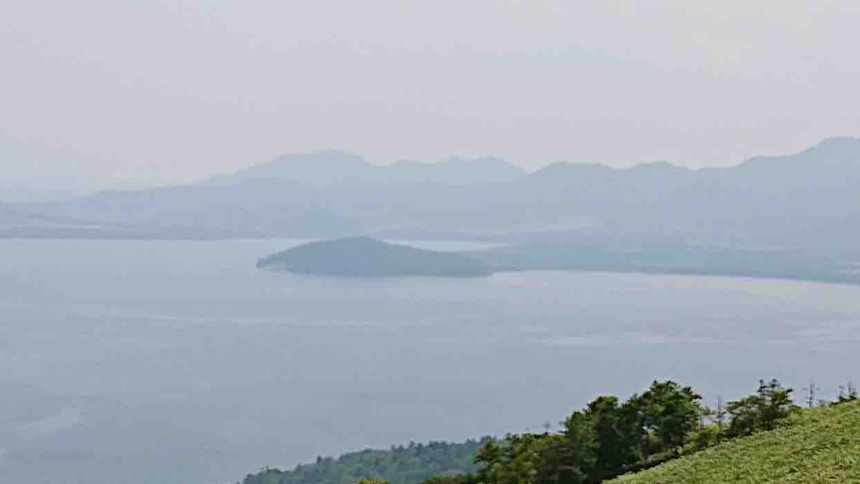 投稿された画像