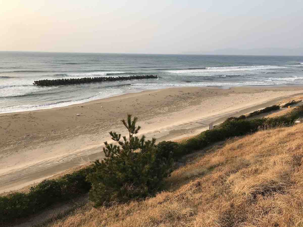 投稿された画像