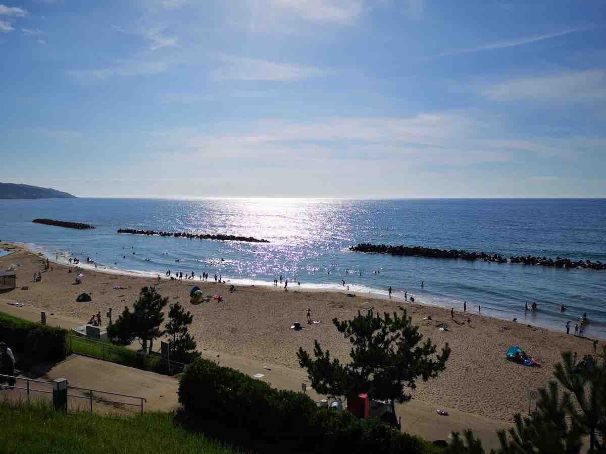 投稿された画像