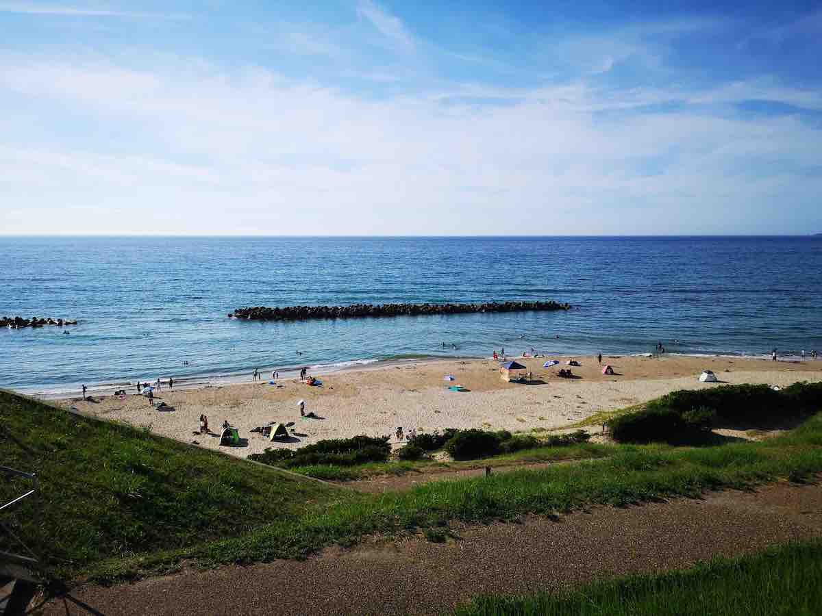 投稿された画像