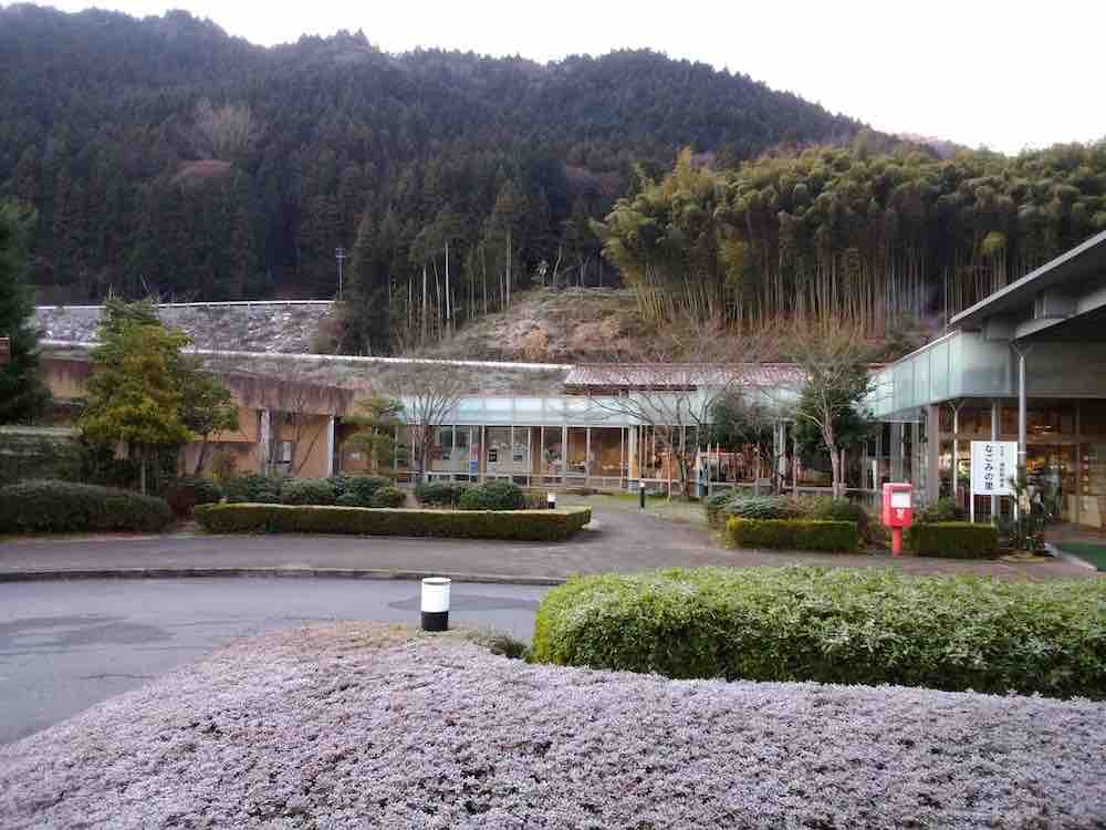 投稿された画像