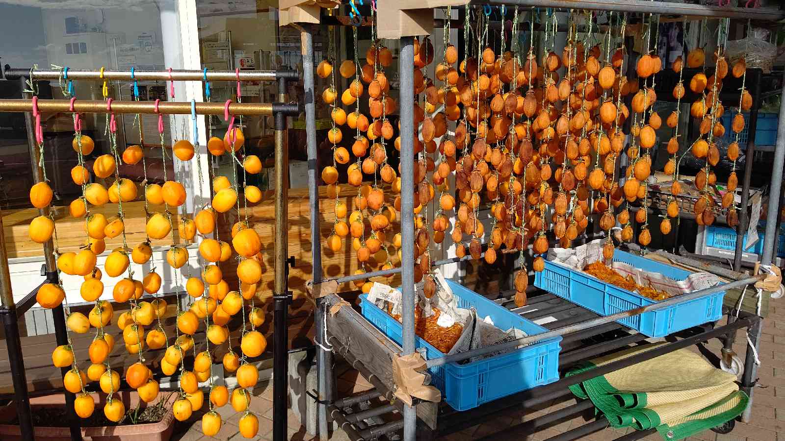 投稿された画像